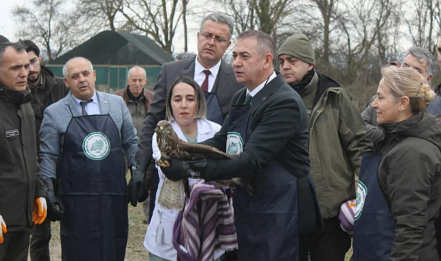 Kızılırmak Deltası’nda Pelikanlar ve Şahinler Gökyüzüne Kavuştu