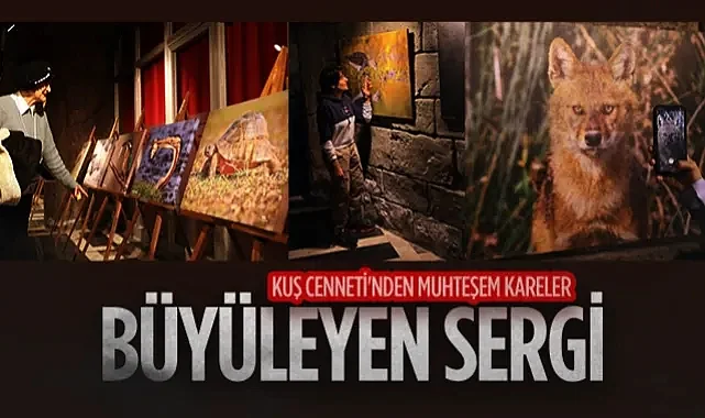 Kuş Cenneti'nden Muhteşem Kareler: Büyüleyen Sergi