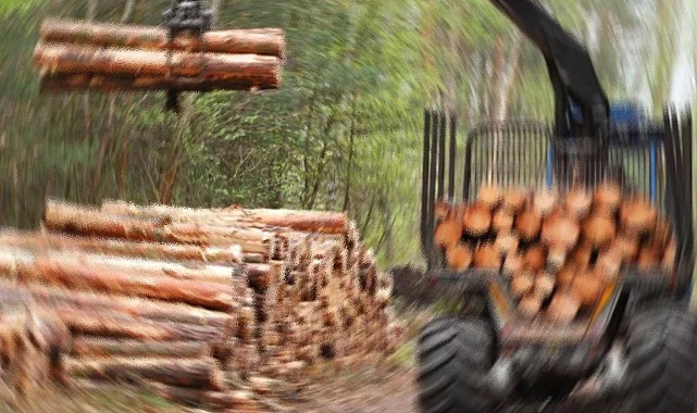 Orman Emvali İstifleme Hizmeti Alınacaktır