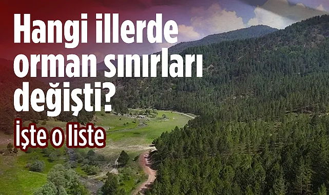 Orman Sınırları Yeniden Çizildi: Samsun ve 20 İl İçin Orman Kararı