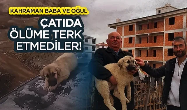 Samsun'da Kahraman Baba ve Oğul: 4 Katlı Binanın Çatısından Köpek Kurtarma Operasyonu