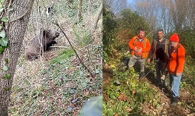 Samsun'da Sezonun Son Sürek Avı Gerçekleşti