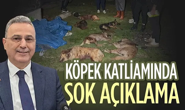Samsun'daki Köpek Katliamında Şok Eden Açıklama