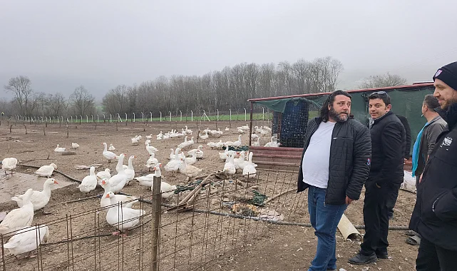 Samsun Kaz Üretiminde Marka Oluyor