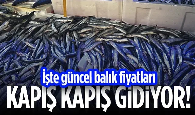 Samsun'da Hamsi ve İstavrit Kapış Kapış Gidiyor! İşte Güncel Balık Fiyatları...