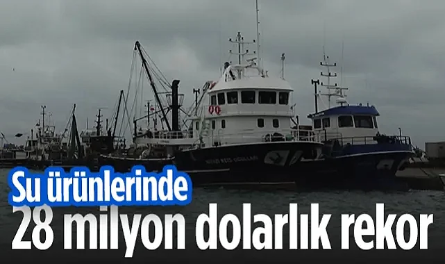 Samsun ve Çevre İller Coştu! 28 Milyon Dolarlık Rekor...