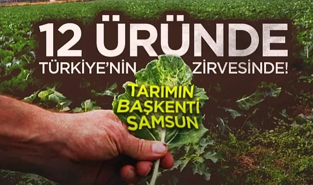 Tarımın Başkenti Samsun: 12 Üründe Türkiye’nin Zirvesinde!