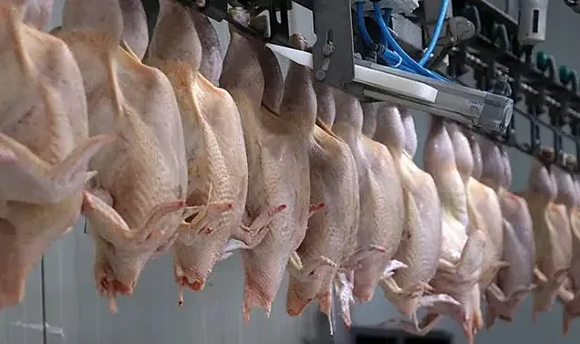 Ticaret Bakanlığı Duyurdu: Kanatlı Eti İhracatı Durduruldu