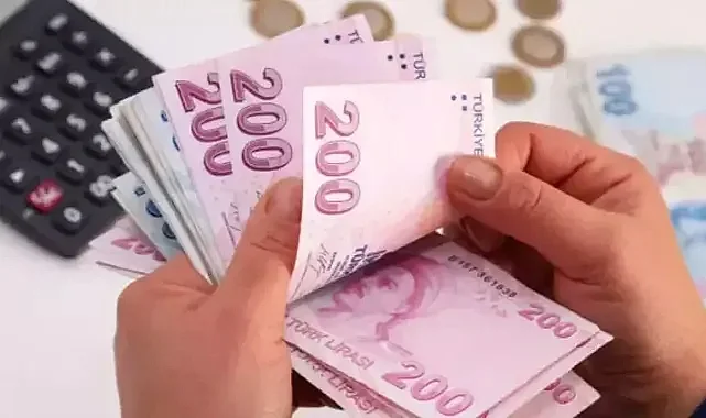 Vatandaşlık Maaşı Gelir Sınırı ve Destek Tutarı Belli Oldu