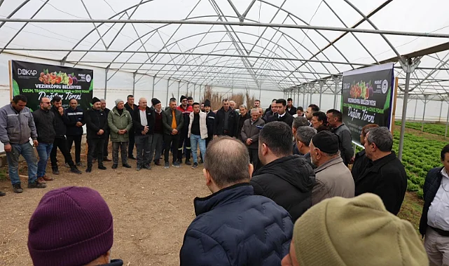 Vezirköprü’de Çiftçiye Fidan Desteği