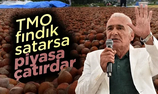Ayvacık Ziraat Odası Başkanı Erdal Avcı: TMO Fındık Satarsa Piyasa Çatırdar!