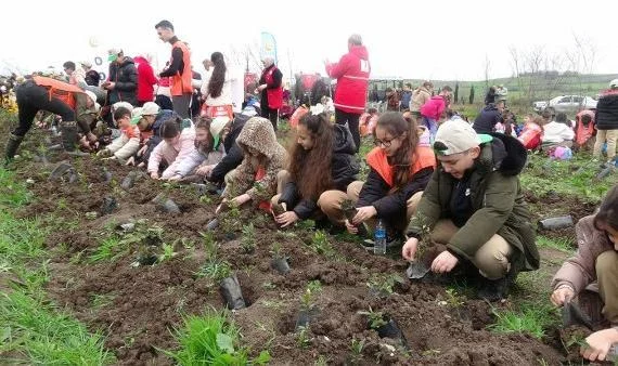 Bafra'da Gelecek Yeşeriyor: Minik Eller 3 Bin Fidan Dikti