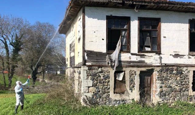 Bafra'da Kahverengi Kokarca Seferberliği: İlaçlama Başladı