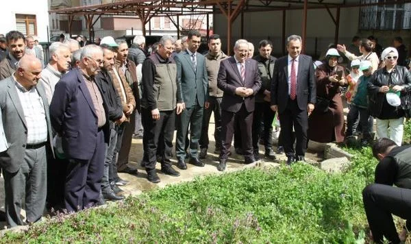 Çarşamba'da Yeşil Seferberlik