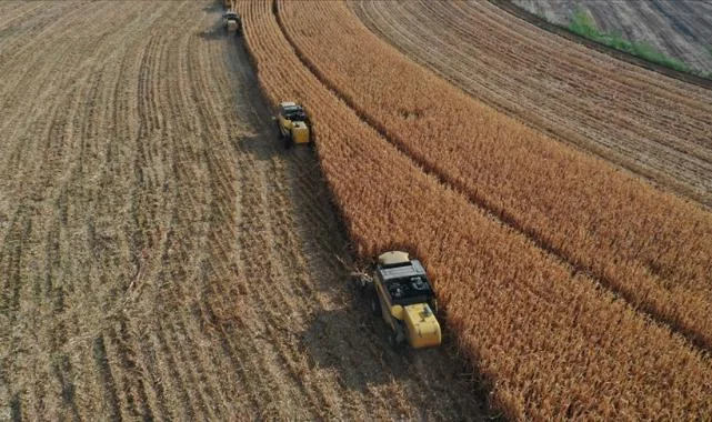 Çarşamba'da Tarıma 8 Milyon TL'lik Can Suyu