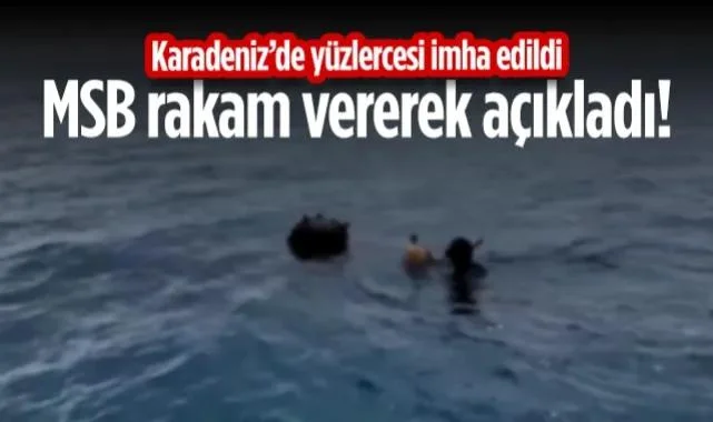 MSB Rakam Vererek Açıkladı! Karadeniz’de Yüzlercesi İmha Edildi...
