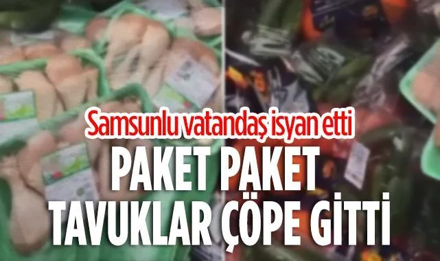 Paket Paket Tavuklar Çöpe Gitti: Samsunlu Vatandaş İsyan Etti