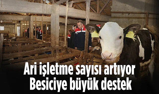 Samsun'da Ari İşletme Sayısı Artıyor: Besiciye Büyük Destek