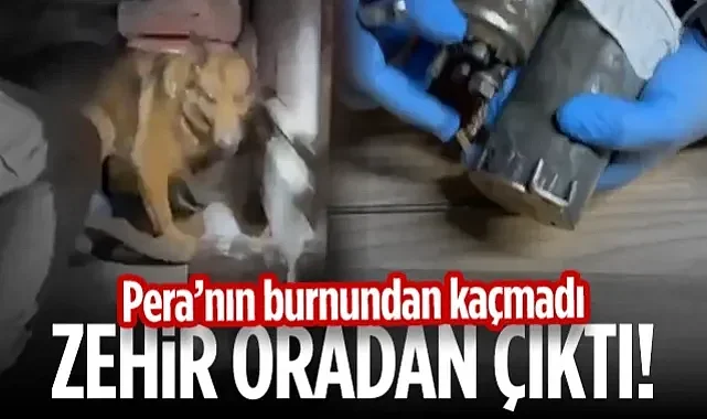 Samsun'da Film Gibi Operasyon! Pera'nın Burnundan Kaçmadı! Zehir Oradan Çıktı...