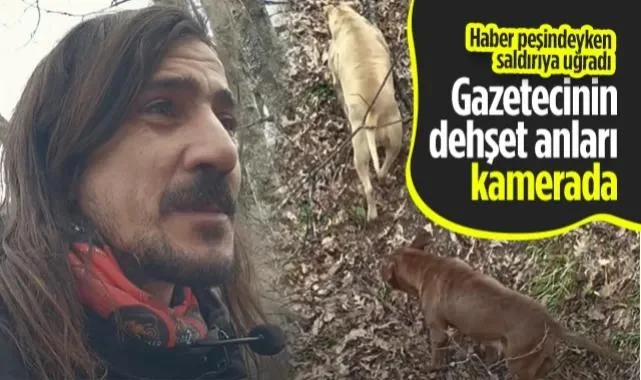 Samsun'da Gazetecinin Dehşet Anları! Haber Peşindeyken Saldırıya Uğradı...