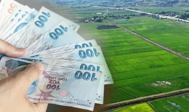 Samsun'da Toprağı Koruma Denetimi! Rekor Ceza Kesildi...