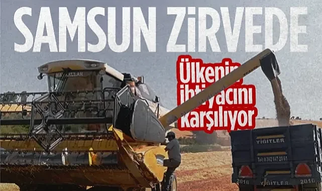 Samsun Tarımda Rekora Koşuyor! Ülkenin İhtiyacını Karşılıyor...