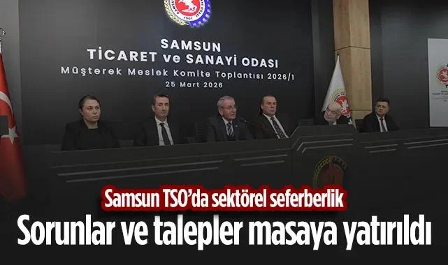 Samsun TSO’da Sektörel Seferberlik: Sorunlar Ve Talepler Masaya Yatırıldı