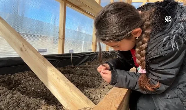 Tekkeköy'de Ata Tohumları Gelecek Kuşaklarla Toprakta Buluştu