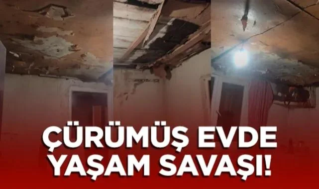 Terme'de Çürümüş Evde Yaşam Savaşı!