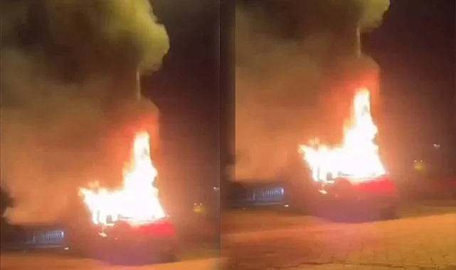 Terme'de Park Halindeki Minibüs Alevlere Teslim Oldu