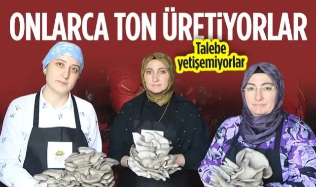 Termeli Kadınlar Onlarca Ton Mantar Üretiyor! Talebe Yetişemiyorlar...