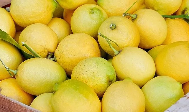 Ticaret Bakanlığı Duyurdu: Limon İthalatında Gümrük Vergisi Düşürüldü