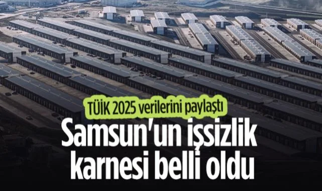 TÜİK 2025 Verilerini Paylaştı: Samsun'un İşsizlik Karnesi Belli Oldu