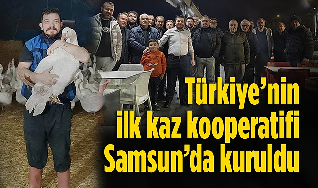 Türkiye’nin İlk Kaz Kooperatifi Samsun’da Kuruldu