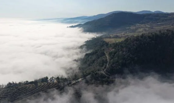 Yakakent’te Doğa Şöleni: Karadeniz’in Üzerini Sis Kapladı