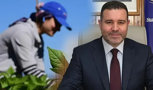 Ziraat Mühendisleri Odası'ndan 8 Mart Vurgusu: Tarımda Kadın Emeği Görünmez Kalıyor