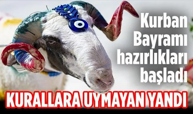2026 Kurban Hizmetleri Tebliği Resmi Gazete'de: Kurallara Uymayan Yandı