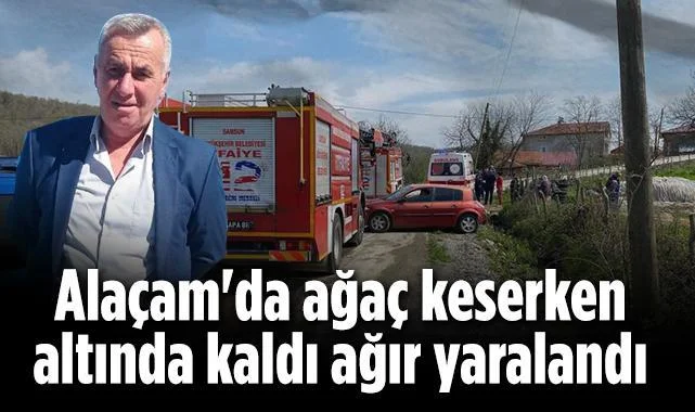 Alaçam'da Feci Kaza: Ağaç Keserken Altında Kaldı