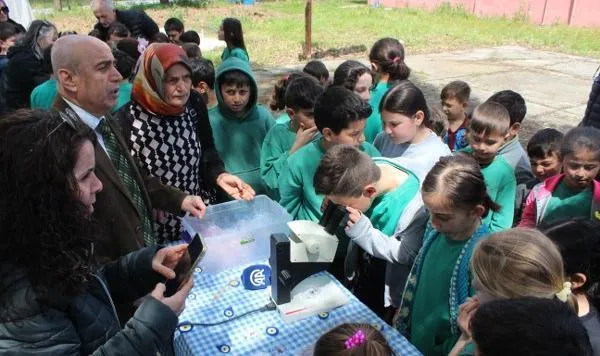 Bafra’da Doğal Mücadele: 450 Uğur Böceği Doğaya Salındı