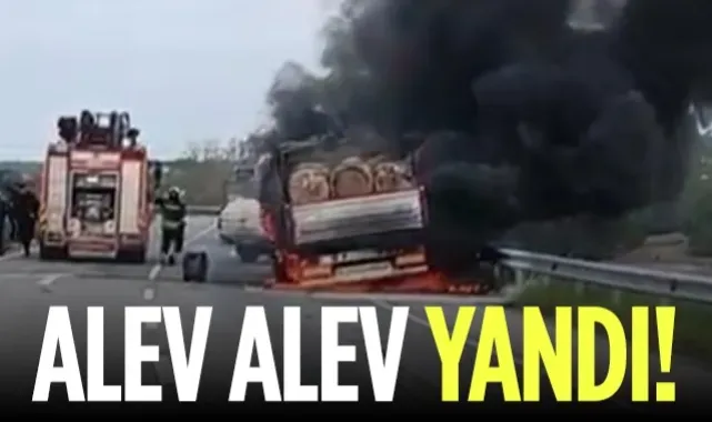 Bafra'da Korkutan Yangın: Tomruk Yüklü Kamyon Alev Alev Yandı