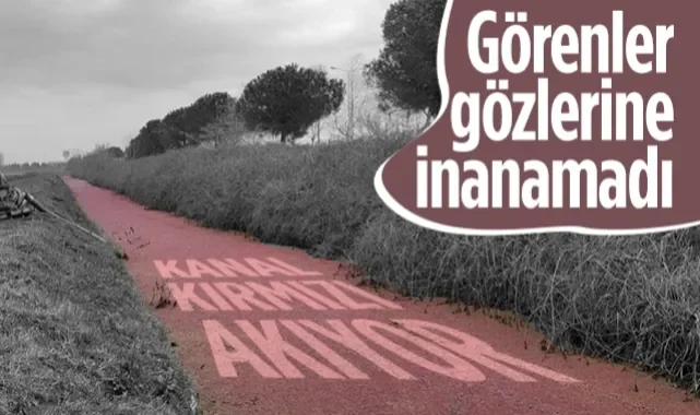 Görenler Gözlerine İnanamadı! Kanal Kırmızı Akıyor...