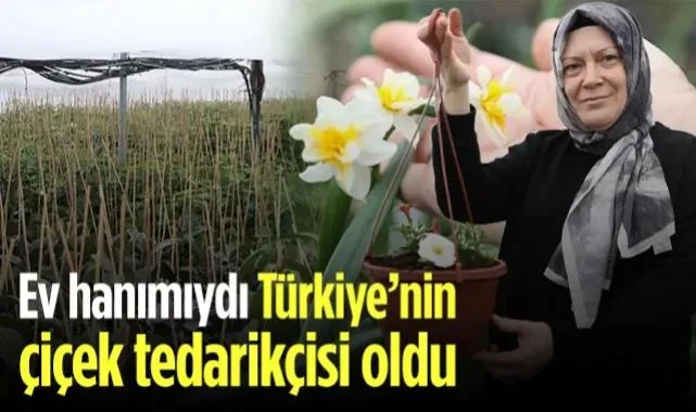 Ev Hanımıydı, Türkiye'nin Çiçek Tedarikçisi Oldu