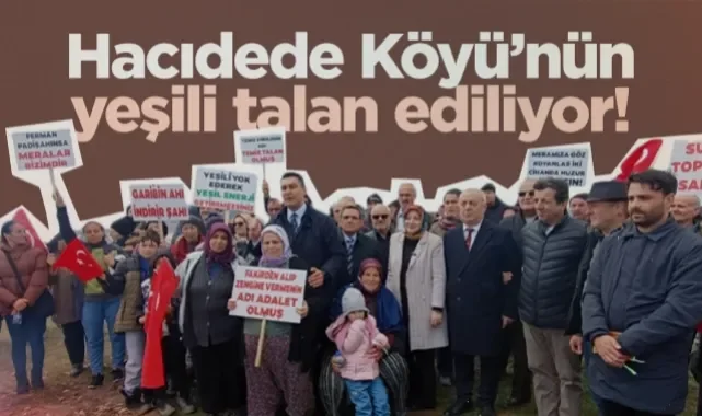Havza Hacıdede Köyü'nün Yeşili Talan Ediliyor!