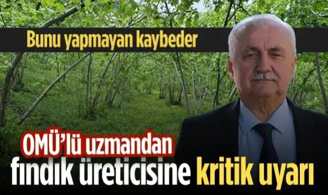OMÜ'lü Uzmandan Fındık Üreticisine Kritik Uyarı: Bunu Yapmayan Kaybeder...