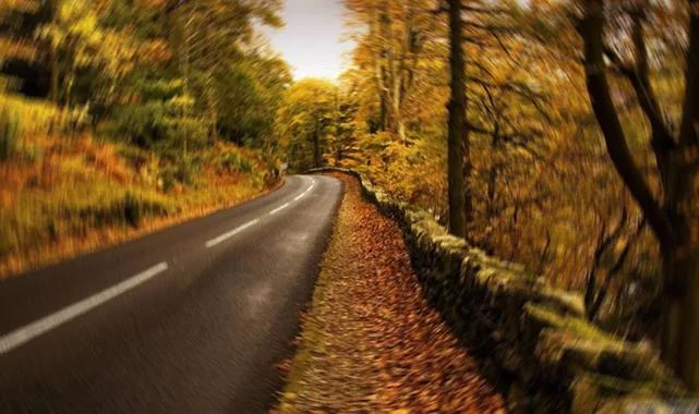 Orman Yolu Üst Yapısı İşleri Yaptırılacaktır 