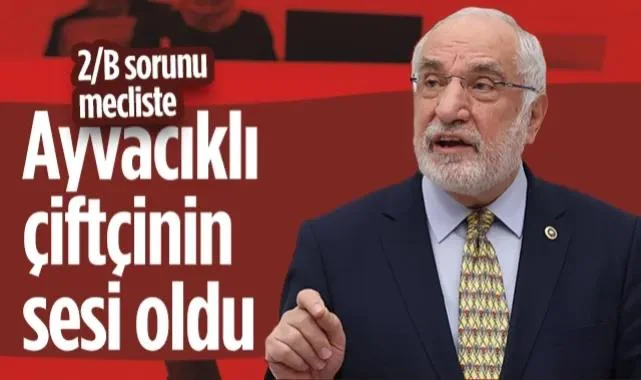 Saadet Partili Mehmet Karaman Ayvacık'taki 2/B Sorununu Meclise Taşıdı