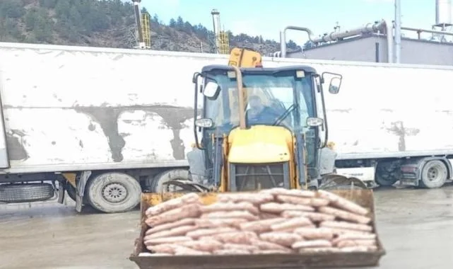 Sakarya'da Mide Bulandıran Olay: Tam Tamına 32 Ton...
