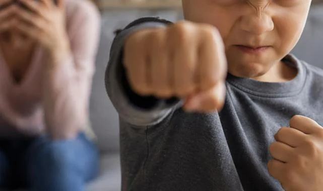 Saldırganlık Eğilimi Gösteren Çocuklar İçin Uzmanından Kritik Uyarılar