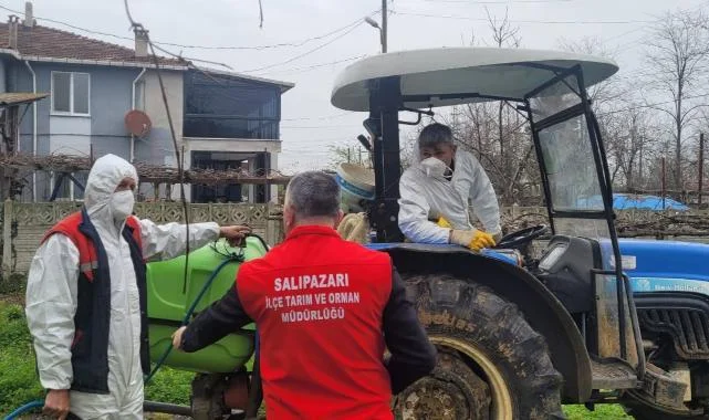 Salıpazarı’nda O Mahalleler İlaçlanıyor! Ekipler Sahaya İndi