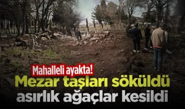 Samsun'da Mezar Taşları Söküldü, Asırlık Ağaçlar Kesildi! Mahalleli Ayakta...